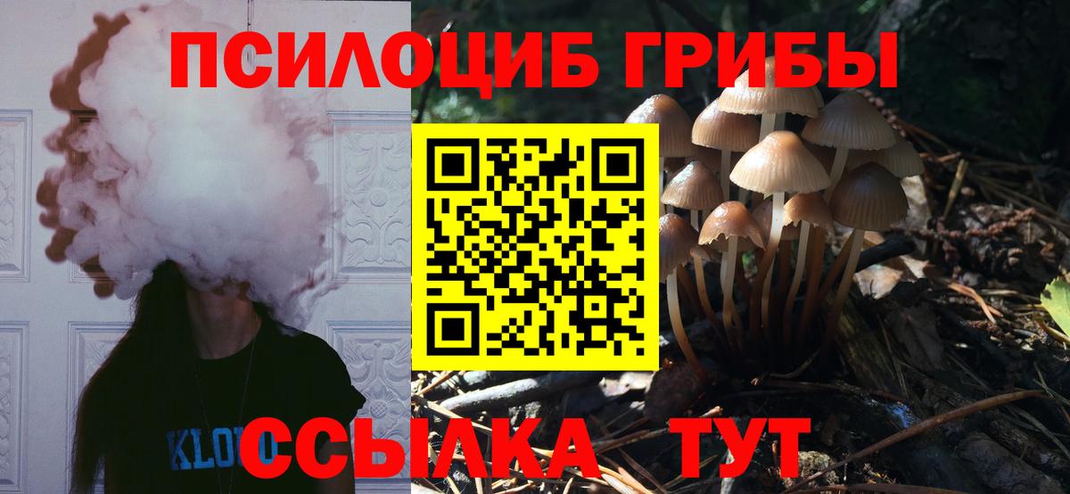 Галлюциногенные грибы Psilocybe Учалы